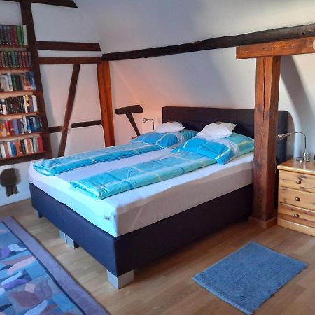 Ferienhaus Pfalzklause Billigheim-Ingenheim Экстерьер фото