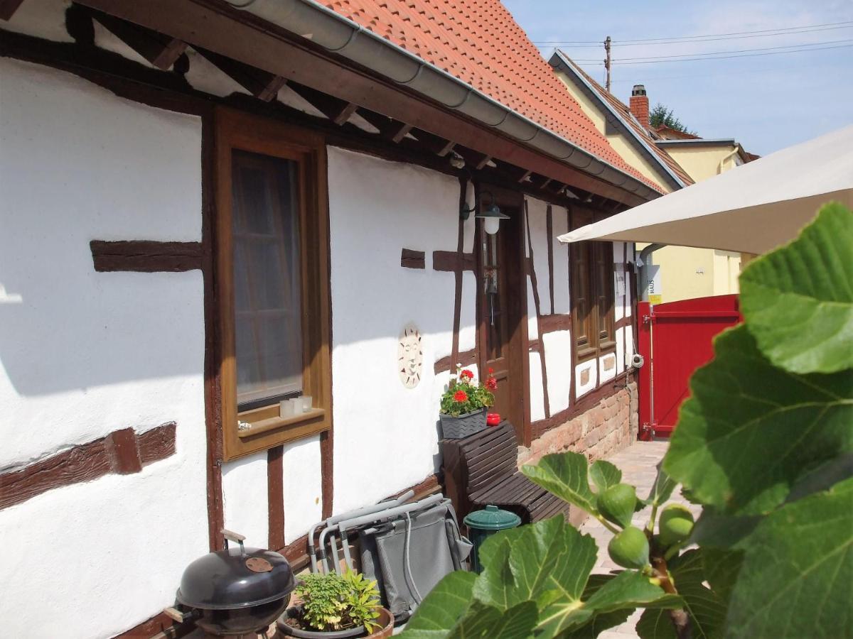 Ferienhaus Pfalzklause Billigheim-Ingenheim Экстерьер фото